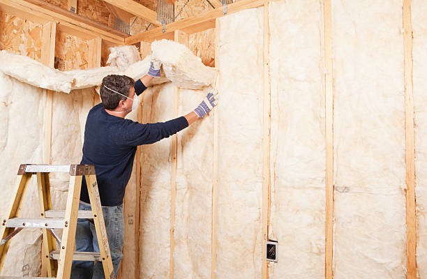 Best Garage Insulation in USA